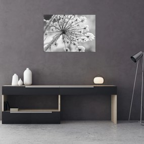 Kép - Virág télen (70x50 cm)
