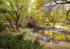 Poszter 29,7x21cm Gapstow híd ősszel, Assaf Frank