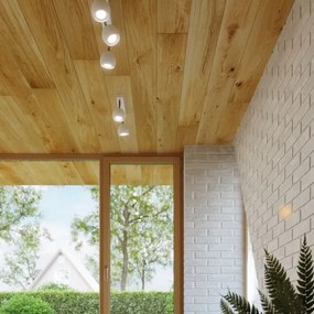 Sollux SL.0439 - Mennyezeti spotlámpa OCULARE 3xGU10/10W/230V