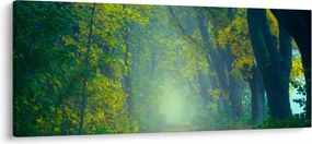 Fákkal szegélyezett út képe (120x50 cm)