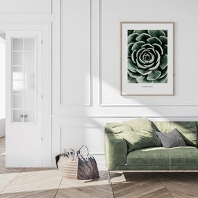 Kép 50x70 cm Echeveria – Styler