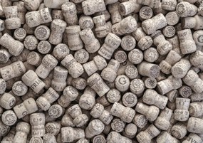 Poszter 29,7x21cm Pezsgős dugók, Assaf Frank