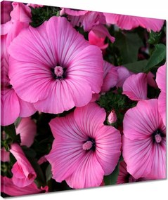 Vászonkép 50x50 Lila virágok