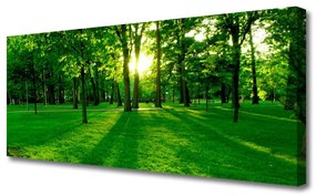 Vászonkép Forest Park Természet 100x50 cm