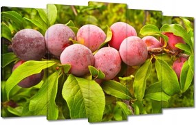 Vászonkép 100x60 Finom szilva