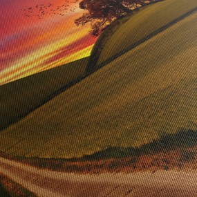 Mező és a színes ég képe (70x50 cm)