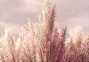 Fotótapéta Fű Boho Rózsaszín Természet 3D Falra Hálószoba Nappali 350x250