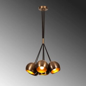 Sivani - MR-626