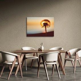 Egy pitypang képe naplementekor (70x50 cm)