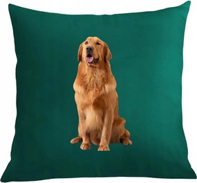 Párna párnahuzat Golden Retriever nyomtatás