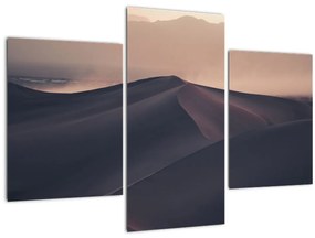 Kép - Homokdűnék (90x60 cm)