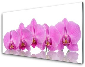 Modern üvegkép Rózsaszín orchidea virágok 125x50 cm