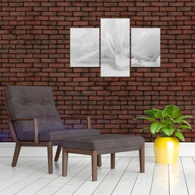 Kép - Tollak (90x60 cm)