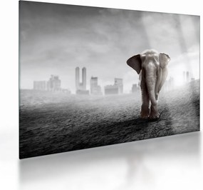 Kép -Elefánt egy nagyvárosban, fekete-fehér változat (üvegen) (70x50 cm)