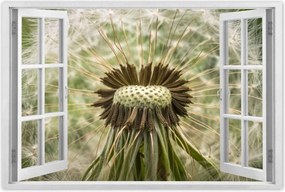 Poszterek 90x60 Pitypang makró fotó