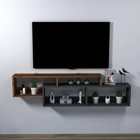 TV szekrény Atlantis - Light Diós, Antracit