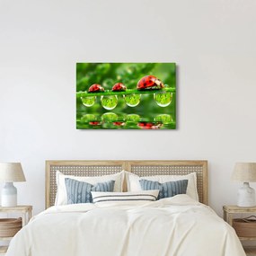 Kép - A hét nap napfénye (90x60 cm)