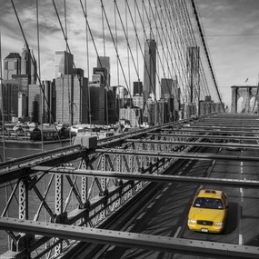 Poszter 30x30cm Taxi a Brooklyn hídon, Assaf Frank