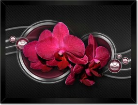 Poszterek keretben 40x30 Orchidea golyókkal