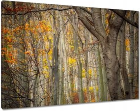 Festmények 100x70 Tájkép Látvány