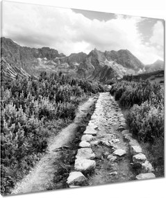 Vászonkép 80x80 Tátra Lengyel hegyek Kilátás