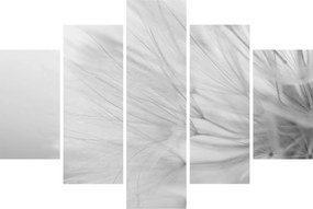 Kép - Pitypang (150x105 cm)
