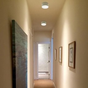 LED2 - LED Mennyezeti lámpa BUTTON LED/17W/230V ezüst