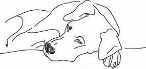 Poszter 56,6x86,4cm Kutya pihenés