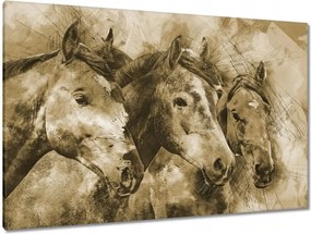 Vászonkép 120x80 Lófejek