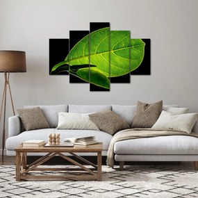 Kép - zöld levél (150x105 cm)