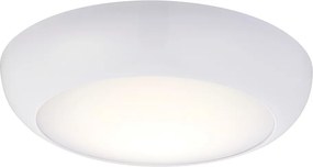 ENDON 77892 FORCA Modern Kültéri Mennyezeti Lámpa Fehér, Opál LED IP44