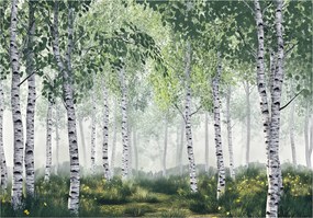 3D Fotótapéta Nyírfa Erdő Természet Fali Hálószoba Nappali 200x140