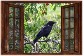 Poszterek 90x60 Madarak