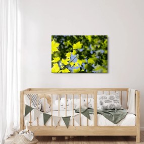 Kép - juhar levelek (90x60 cm)
