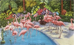 Tapéta Flizelin Falfestmény Prémium Egzotikus jelenet 416x254 Ragasztó