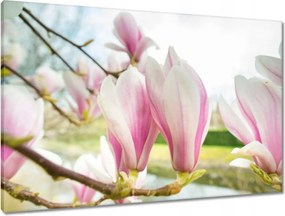 Vászonkép 90x60 Virágok