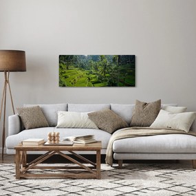Kép a rizs teraszokról, Tegalalang, Bal (120x50 cm)