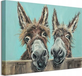 Szamár szamár vászonkép 40x30 cm