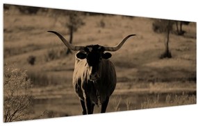 Kép - Texasi tehén (120x50 cm)