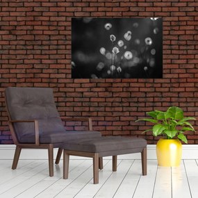 Kép - Pamutfű a réten (90x60 cm)