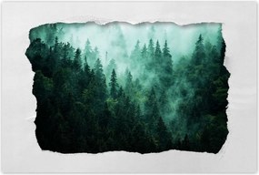 Poszterek 120x80 Erdő Köd Tájkép Utazás