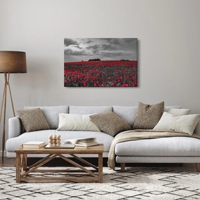 Pipacsos kép (90x60 cm)