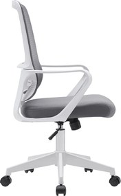 Irodai szék, szürke/fehér, SALOMO TYP 1