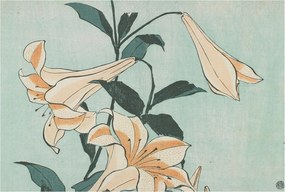 Fotótapéta Flizelin Dekoratív Hálószoba Finom liliomok 104x70