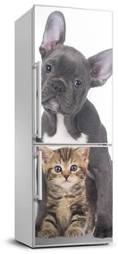 Hűtőre ragasztható matrica Kutya és macska FridgeStick-70x190-f-80558737