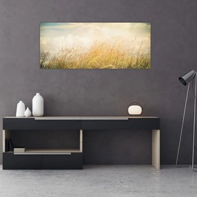 Kép - Mező ősszel (120x50 cm)