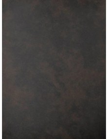 Sötétszürke étkezőszék szett 2 db-os Sierra – Rowico