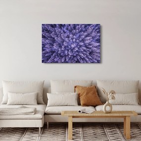 Havas fák képe (90x60 cm)