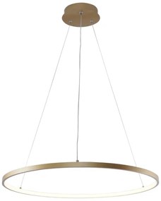 Zuma Line 2023201-GD60 - LED Csillár zsinóron BRENO LED/28W/230V 3000/4000/6000K