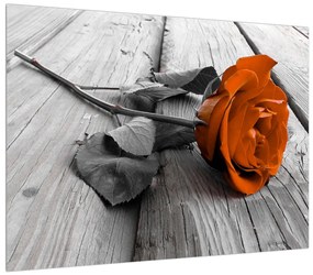 Nartancssárga rózsa képe (70x50 cm)